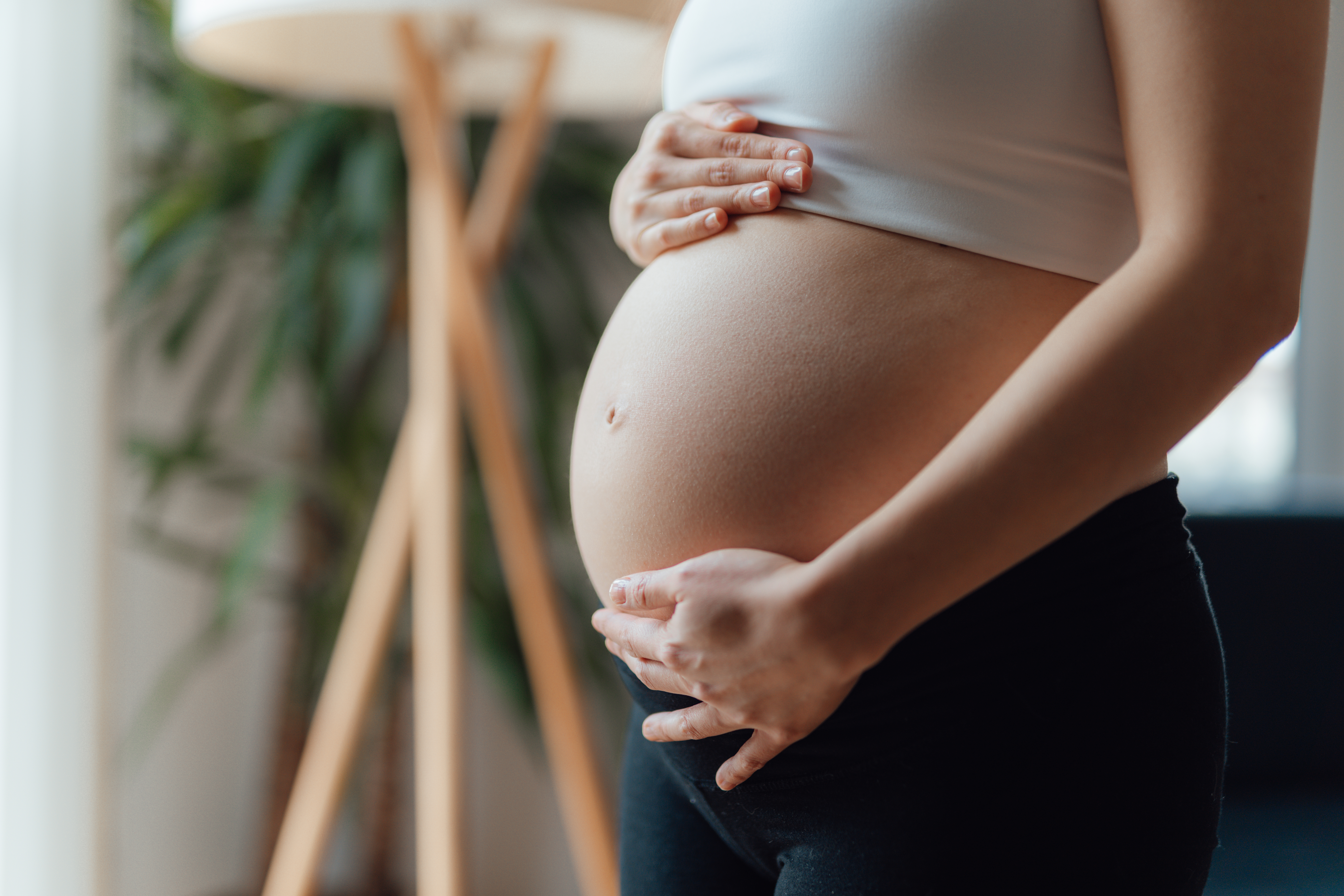 Midsection of Pregnant Woman Holding Her Belly - stock photo