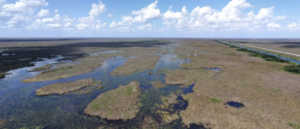 Google Earth Screenshot