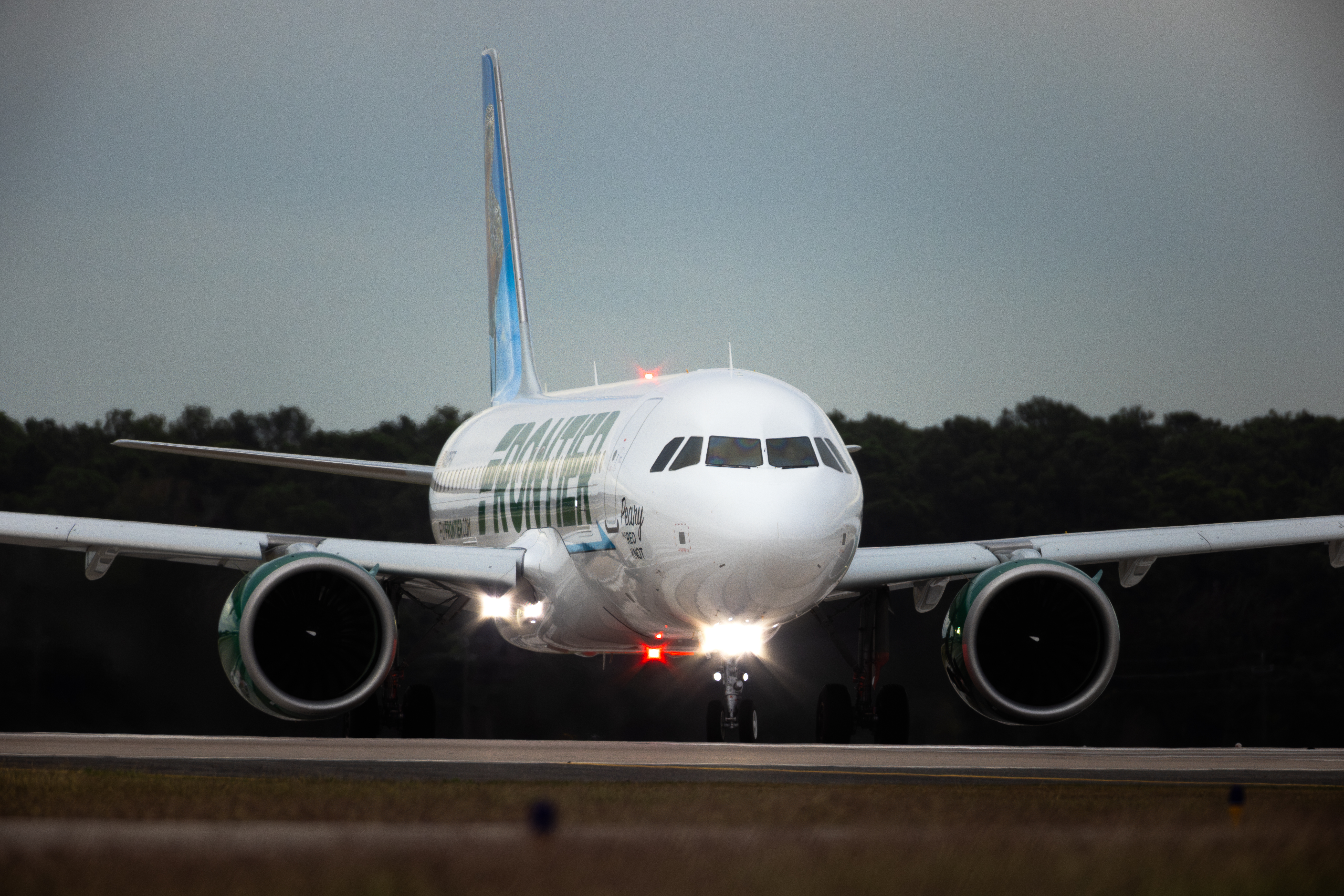 The Moment Pilot Realizes Plane Packed With Passengers Hit Person On Runway